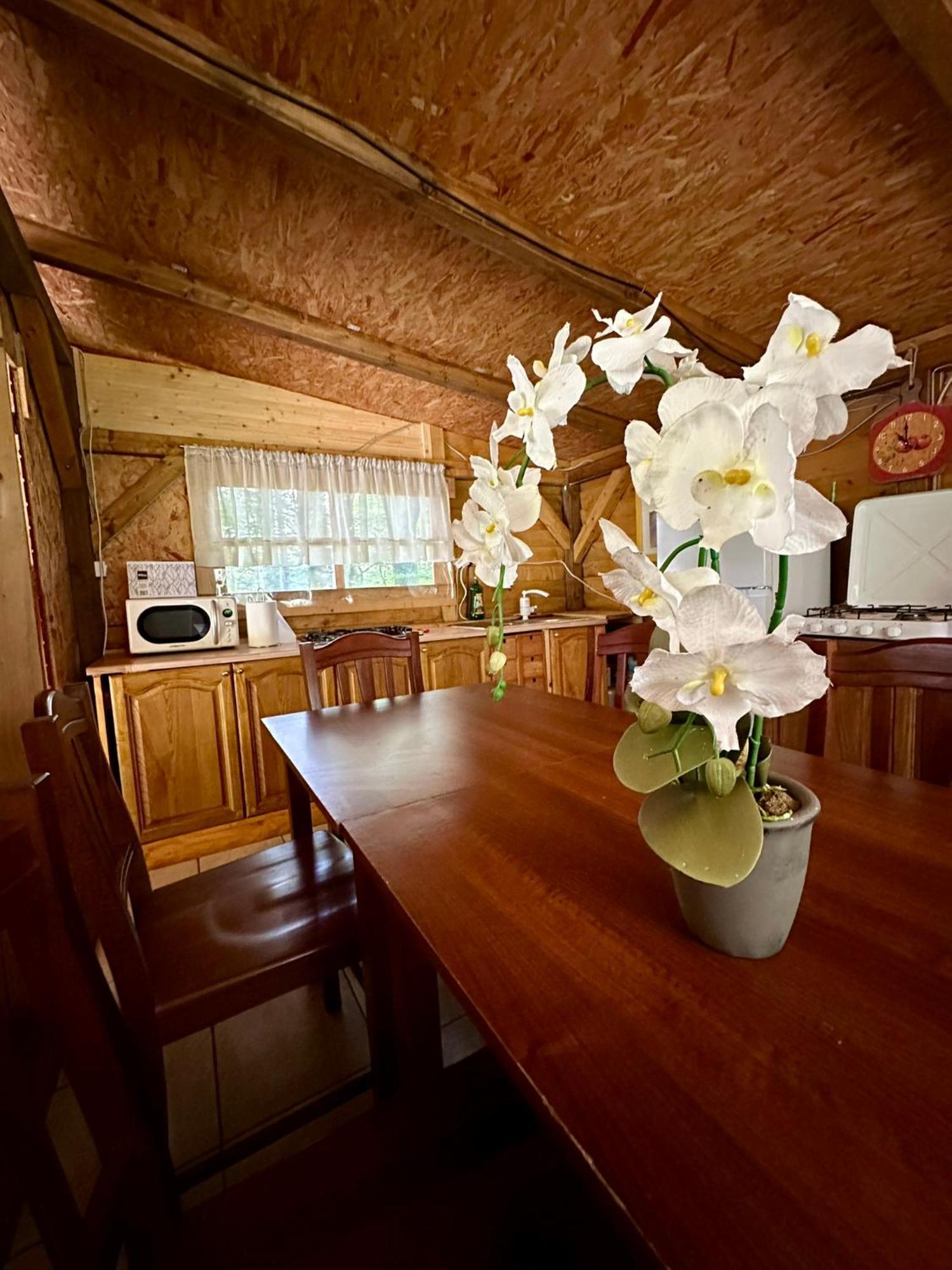 Glamping Krn Ξενοδοχείο Kobarid Εξωτερικό φωτογραφία